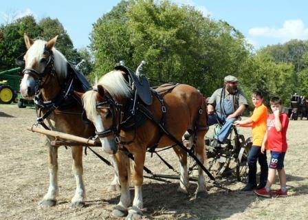 2021 Thresheree Horses Plowing