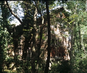 Overgrown Messer/Mayer Mill