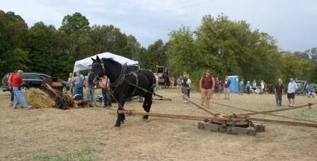 2025 Thresheree and Harvest Festival